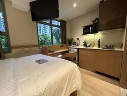 Mount Elizabeth Link (D9), Condominium #466086731